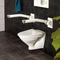 Etac Rex Toilet Arm Support - Aged Care & Medical