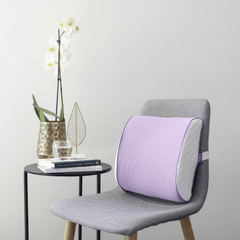 ICARE Back Cushion - Aged Care & Medical