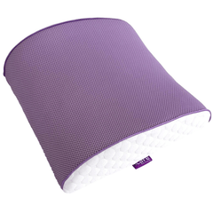 ICARE Back Cushion - Aged Care & Medical