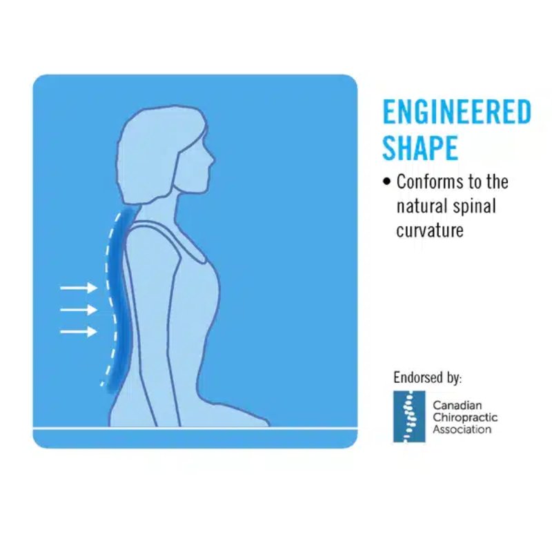 ObusForme Backrest Support - Highback - Aged Care & Medical