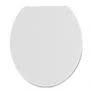 Toilet Seat Lid - Aged Care & Medical
